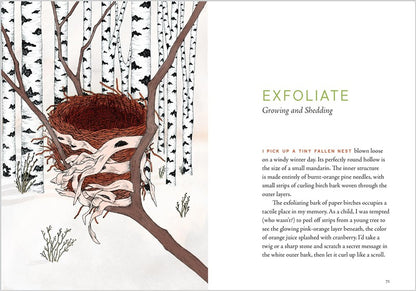 A Forest Language