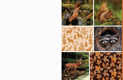 Cut &amp; Collage Woodland Creatures