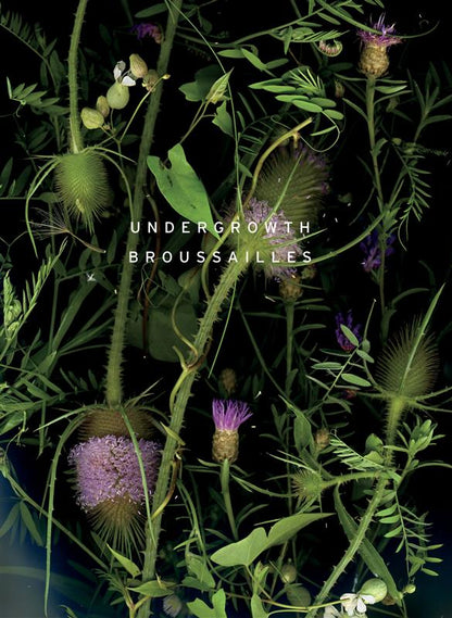 Sara Angelucci: Undergrowth / Broussailles