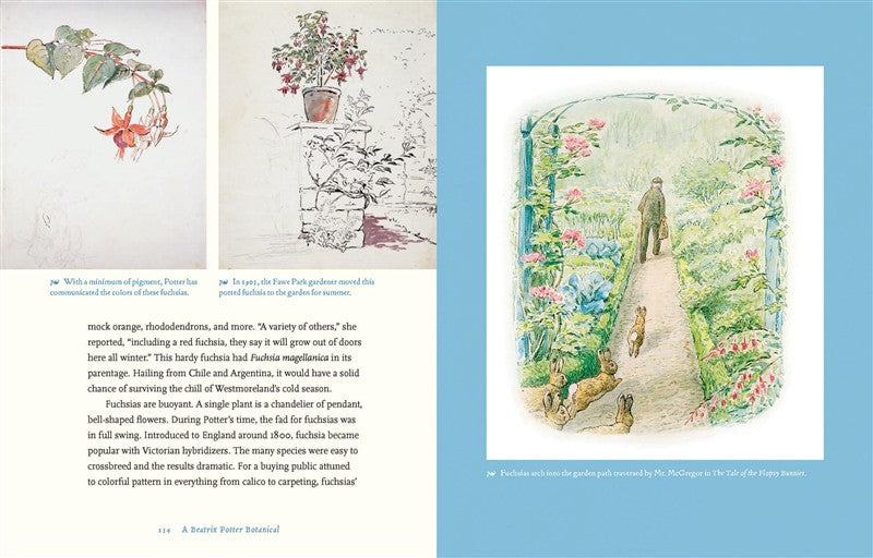 Beatrix Potter’s Botanical