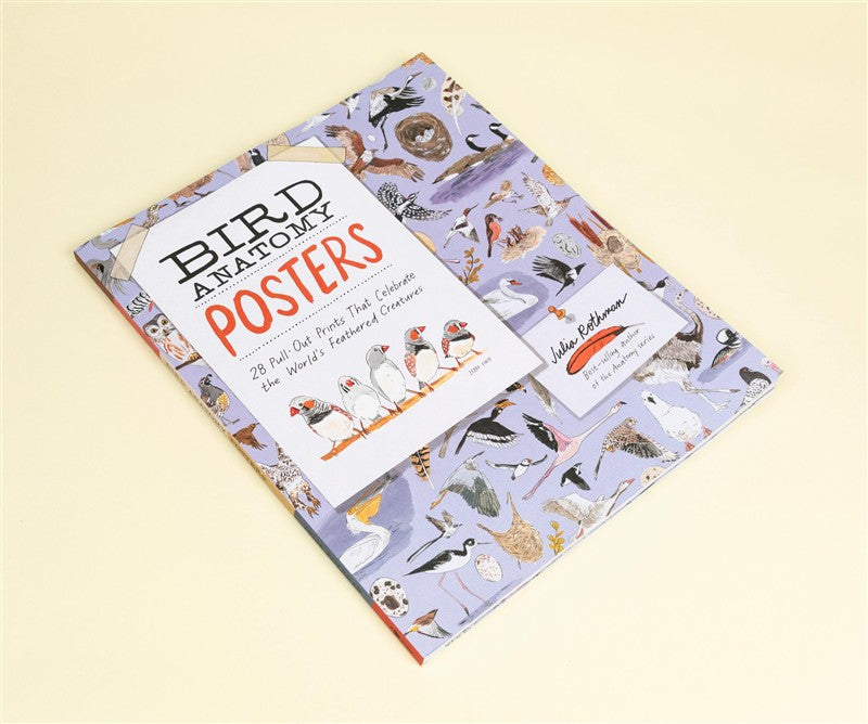 Bird Anatomy Posters