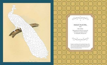 Museum Mosaics: Birds of the Smithsonian