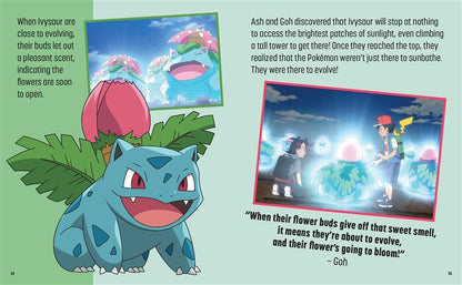 Pokémon: Trainer's Mini Exploration Guide to Kanto