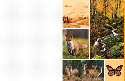 Cut &amp; Collage Woodland Creatures