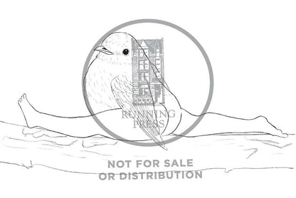 Extremely Accurate Birds Coloring Postcards