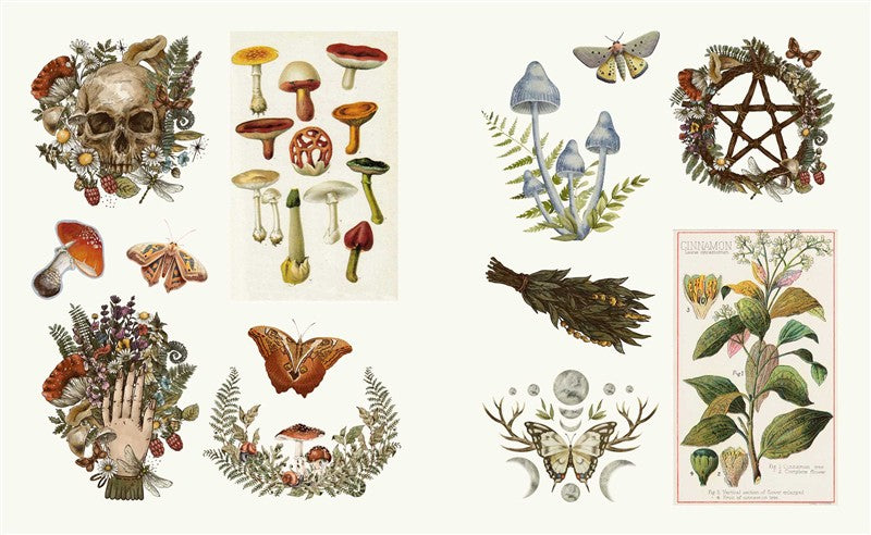 Mystical Esoterica Sticker Book