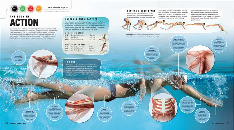 Discover: The Human Body (Ready Activated)