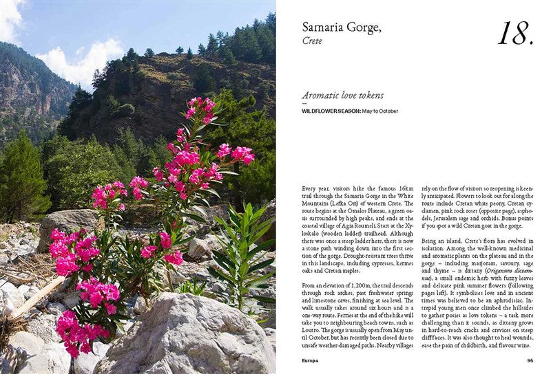 The Wildflower Travel Book