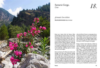 The Wildflower Travel Book