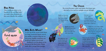 A Hole in the Bottom of the Sea