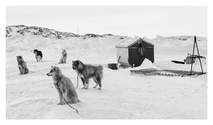 Echoes of the Pack