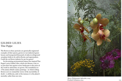 New Photography of the Flower.