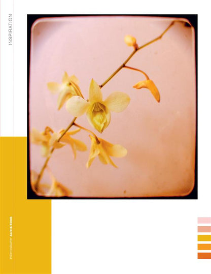 Paper Book for Nature Lovers