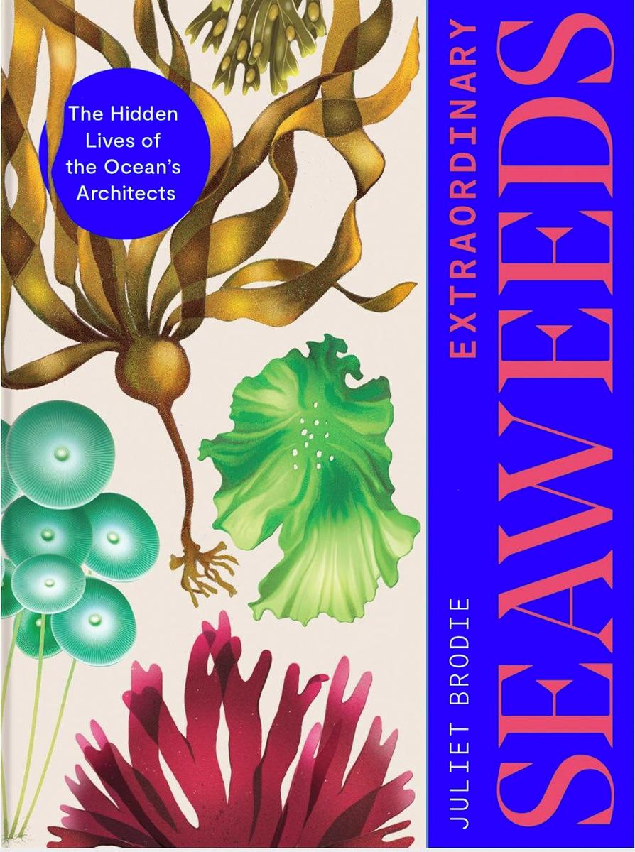 Extraordinary Seaweeds